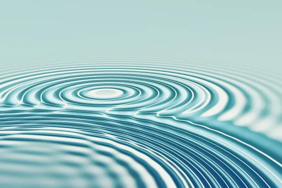 BetBeard Casino Podrška